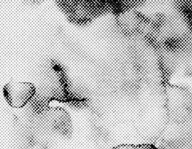 Dúigh Scáileáin